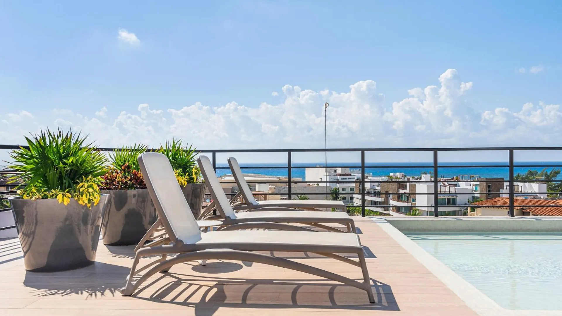 Beautiful Studio With Kitchen Ac Gym Pool Ocean View From The Rooftop Playa del Carmen